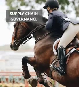 Supply Chain Governance Difficult