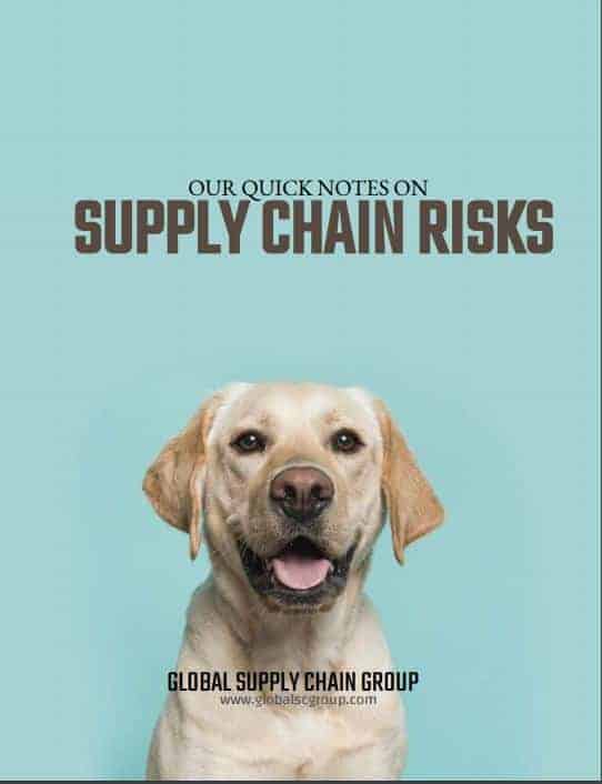 Global Supply Chain Group - cover our guide to supply chain risks1