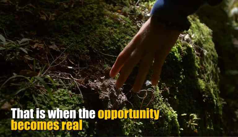 opportunity-becomes-real