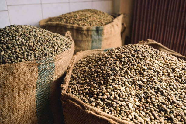 The Coffee Supply Chain & Storage Process